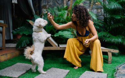 Why Adopting a Dog Can Change Your Life