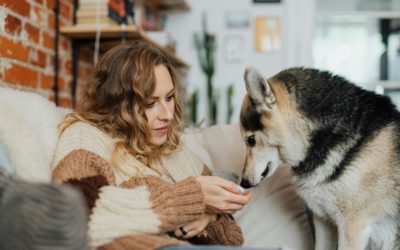 Buy Treats, Save Lives: Bella’s Love Treats for Dogs