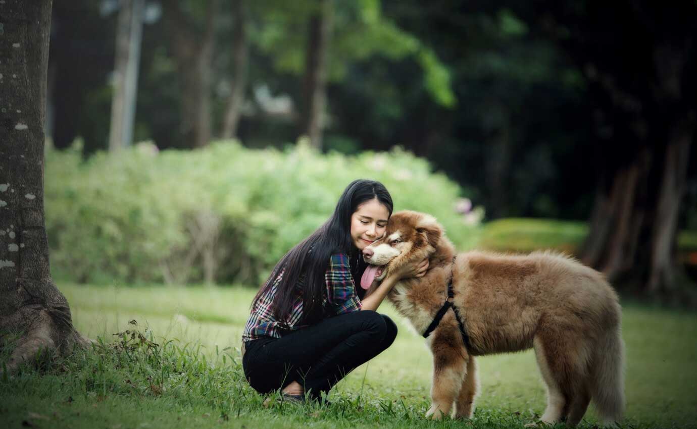 Adopt a Rescue Dog